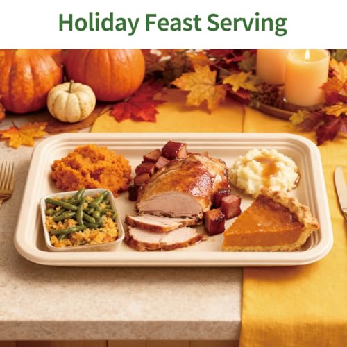AICHEF 14x10 Inch Disposable Food Trays Pack of 100 - Heavy Duty, Eco-Friendly, Party & Catering Use