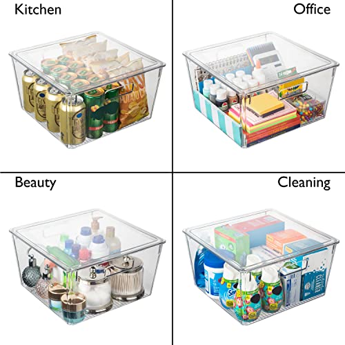 Large Plastic Storage Bins with Lids - Clear Pantry Organizer Set of 4