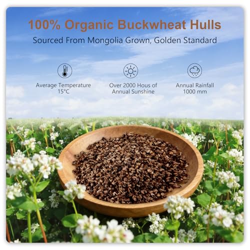 MIOTO Organic Buckwheat Pillow 14x20 Off White with Adjustable Fill & Extra Cover