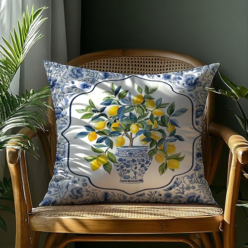 BUJSP Chinoiserie Lemon Double-Sided 18x18 Floral Pillow Cover - Seasonal Blue/White