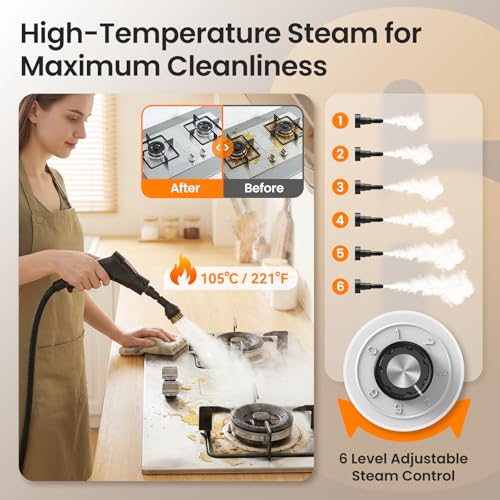 Portable Handheld Steam Cleaner Black 2500W for Home & Car Detailing
