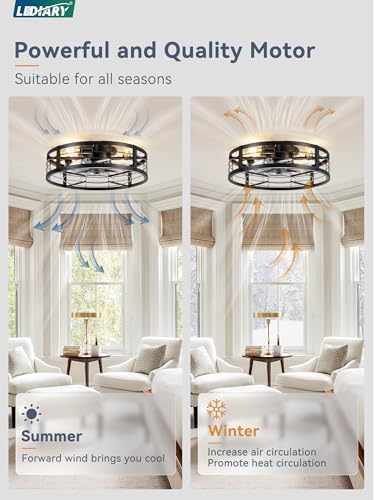 LEDIARY 20" Black Caged Low Profile Ceiling Fan with Light and Remote