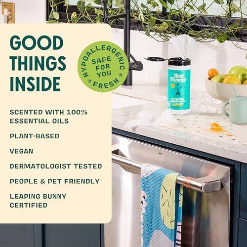 Aunt Fannie's Natural Eucalyptus Cleaning Vinegar Wipes - Pack of 6, 35 Count