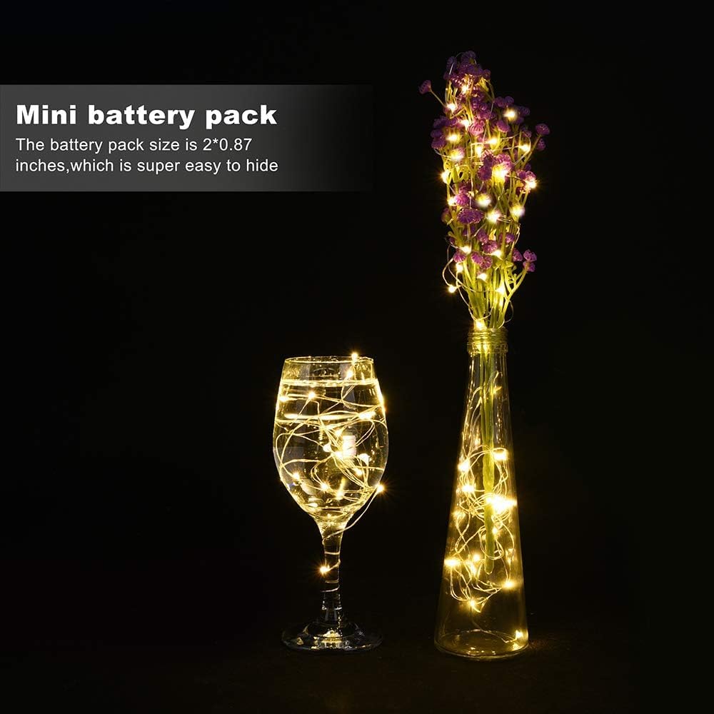 LEDIKON 24 Pack Fairy Lights Battery Operated String Lights-3.3ft 20 LED Silver Wire Warm White for Wedding,Party,Table Centerpieces,DIY Crafts,Mason Jars Decor
