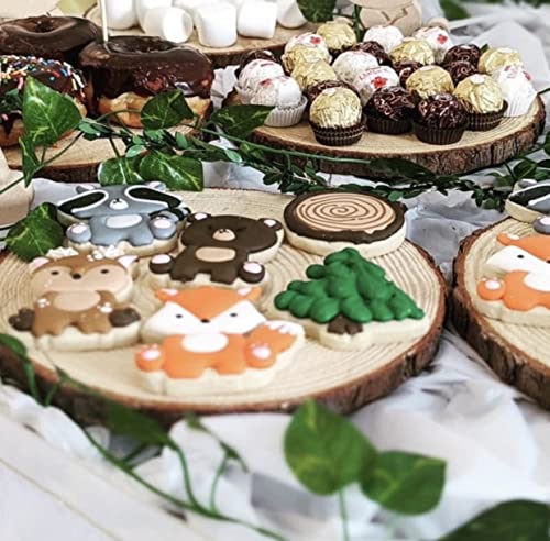 Medium Wooden Slices for Centerpieces - Set of 10 9-11 Inch Rustic Wood Decor