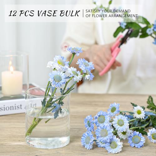 12 Pack 5-Inch Clear Glass Cylinder Vases for Centerpieces and Decor - SUPMIND