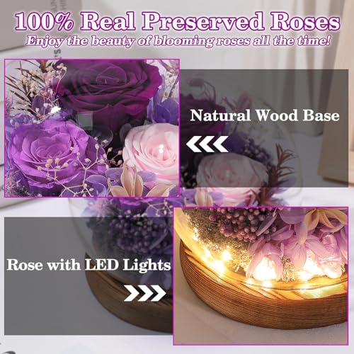 FIACO Preserved Purple Rose in Glass Dome - Eternal Flower Gift for Mom Women Wife