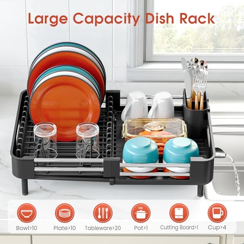 TOOLF Expandable Dish Drying Rack for Kitchen Counter - Black, Standard
