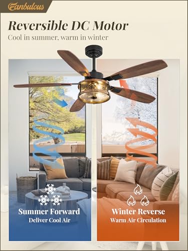 Farmhouse Ceiling Fan with Light and Remote - 52 Inch Black & Walnut