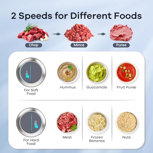 Ganiza Food Processor with 2 Bowls - Grey, 450W Meat & Vegetable Chopper