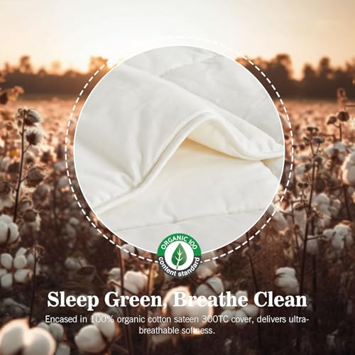 KUSNUG Organic Cotton & Australian Wool Hybrid Comforter King – Year-round, White
