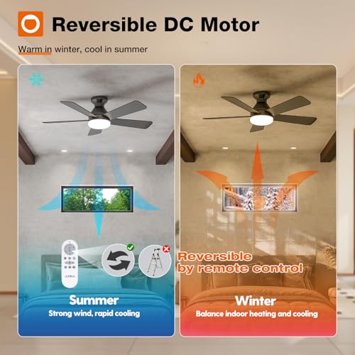Black 42 Inch Modern Low Profile Ceiling Fan with Lights & Remote