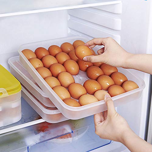 HANSGO Deviled Egg Containers with Lid, Portable Devil Egg Holder for 30 Eggs Clear Deviled Egg Carrier Tray for Home Party Kitchen Fridge Organizer