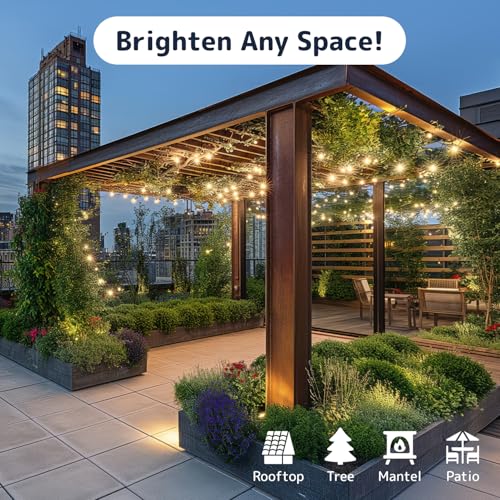 PREXTEX 100 Count Clear Christmas Lights - 20 ft Ultra Bright String Lights with Green Wire for Indoor and Outdoor Use, Christmas Trees, Holidays, Patios and Garden