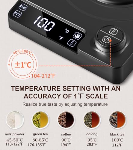 1.0L Gooseneck Electric Kettle with ±1°F Temp Control & Fast Heating