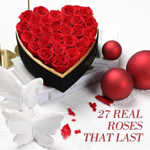Preserved Roses Flowers for Delivery 27 Pcs, Mothers Day Rose Gifts