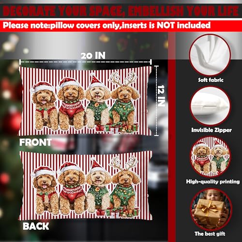 DAYOUER Christmas Goldendoodle Pillow Cover 12x20 Multicolor 01, 18x18 Accent