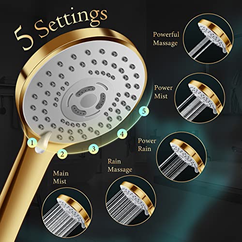 PinWin 12'' Rain Shower Head with 11'' Extension Arm - Brushed Gold