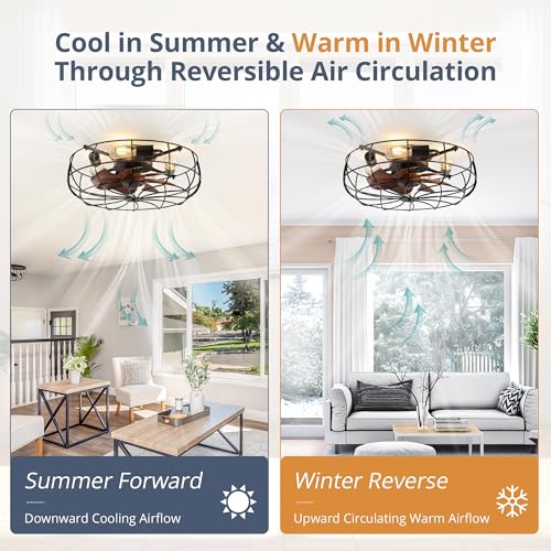 20-Inch Black Caged Farmhouse Ceiling Fan with Lights & Remote Control