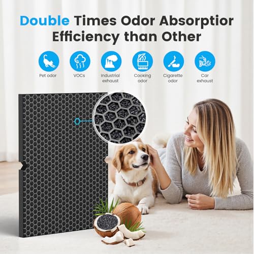Smilyan 2-Pack HEPA & Carbon Filter Replacement for Winix 5500-2 & AM80 Air Purifiers, Model 116130