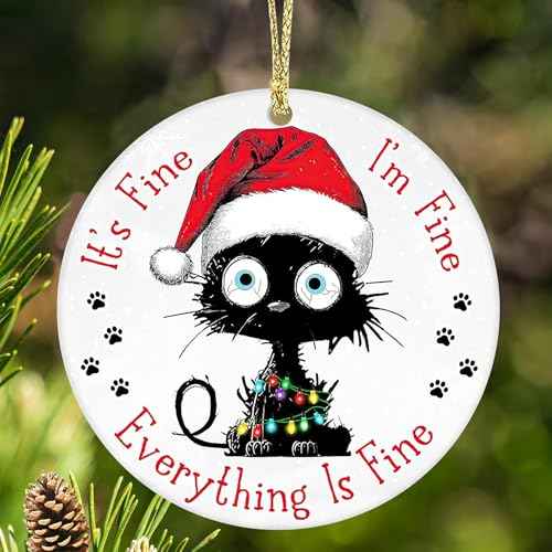 Cat Christmas Ornament, Christmas Ornaments 2025 Black Cat Christmas Decorations Acrylic 2 Side Printed Christmas Decor, Personalized Ornaments for Lovers