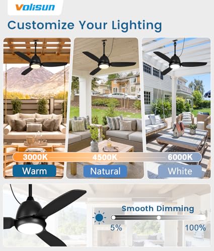 Black Outdoor Ceiling Fan with Light 42in Weatherproof Remote & App Control