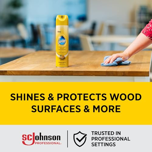 Enhancing Lemon Polish Spray - Professional Surface Protector & Shine, 12 Pack