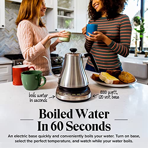 Gooseneck Electric Kettle with Temperature Control - 0.8L Stainless