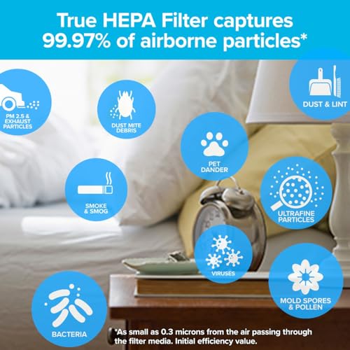 Filtrete True HEPA Air Purifier Filter 13x8.2 Inches 2-Pack for Cleaner Indoor Air