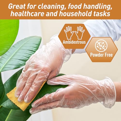 Vinyl Disposable Gloves Large Pack of 1000 Clear - Powder-Free, Ambidextrous