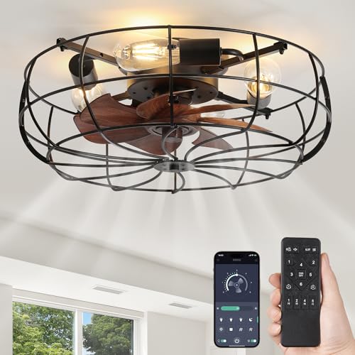 20-Inch Black Caged Farmhouse Ceiling Fan with Lights & Remote Control