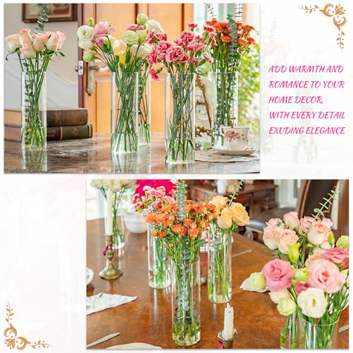 7 Pack 10 Inch Glass Cylinder Vases for Centerpieces - Clear Flower & Candle Holders