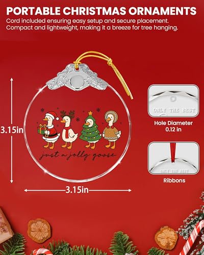 Mvxopqu Funny Goose Ornament 2025 for Christmas Tree - Duck Keepsake Gift for Goose Lovers, Women & Girls, One Size