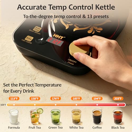 Black Electric Tea Maker with Infuser, Precise Temperature Control, 0.8L