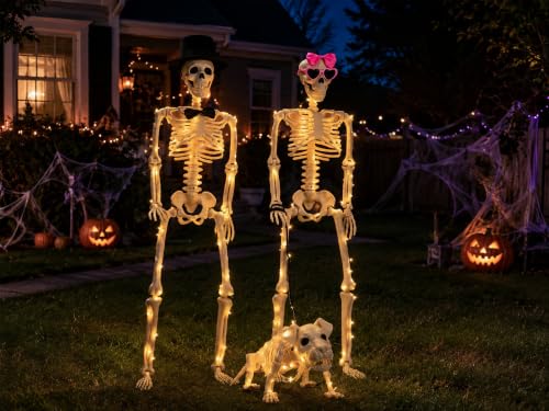Gleemoria 3PC Halloween Skeleton Decorations Set - Life-Size Skeletons & Dog, Adjustable, Waterproof Lights