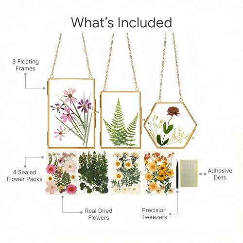 Relaxing Garden Pressed Flower Frame Kit - 3 Hanging Glass Botanical Wall Decor