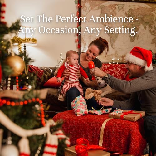 P&J Fragrance Oil Christmas Set - 6 Premium Scent Oils for Candle & DIY Crafts