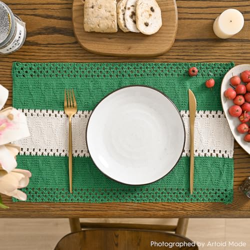 Artoid Mode Christmas Dark Green Rustic Placemats Set of 6, 12x18 Inches