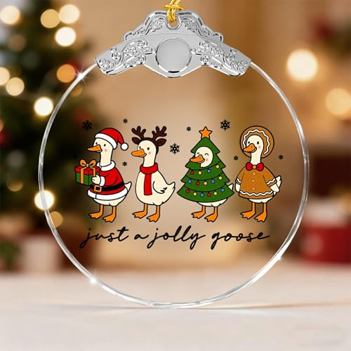 Mvxopqu Funny Goose Ornament 2025 for Christmas Tree - Duck Keepsake Gift for Goose Lovers, Women & Girls, One Size