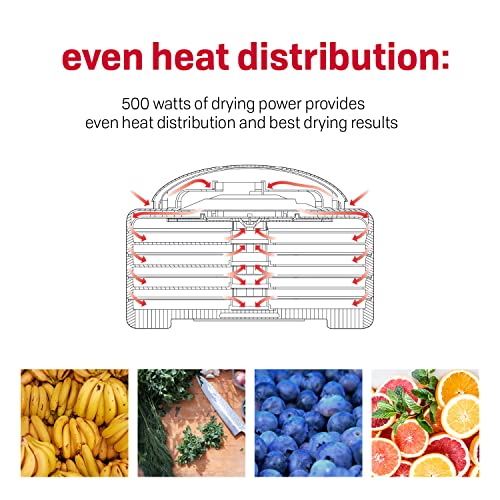 Food Dehydrator for Jerky and Snacks - 4 Trays, Adjustable Temp, White & Grey - Dehydrator