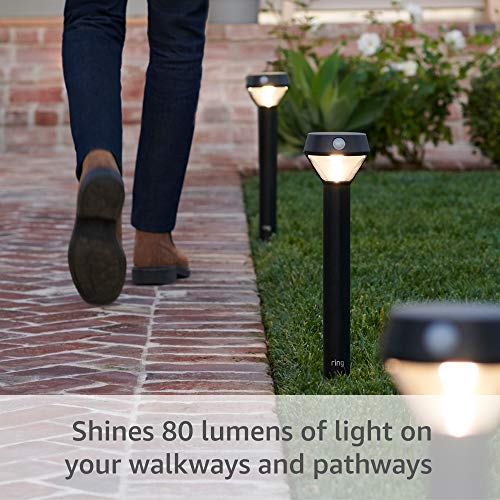 Solar Pathlight with Motion Sensor - Bright LED Path Light, Black, Variation of THIS Listing