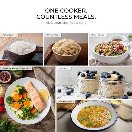 20-Cup Rice Cooker and Warmer - White, Easy-to-Use, Large Capacity