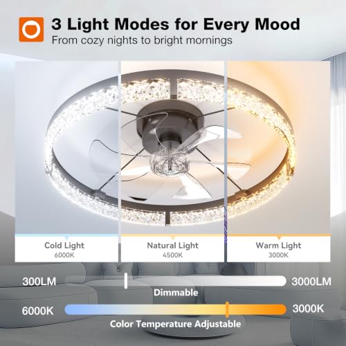addlon 24-Inch Black Low Profile Ceiling Fan with Lights & Remote
