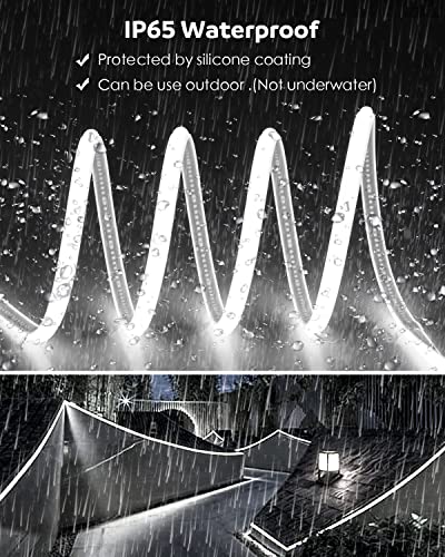 Outdoor Waterproof 100FT COB LED Strip Lights - Dimmable, High Density, Super White 6000K
