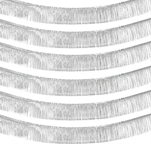 AIKENLIN 6 Pack Silver Foil Fringe Garland 10ft Tassel Banner Wall Hanging Backdrop