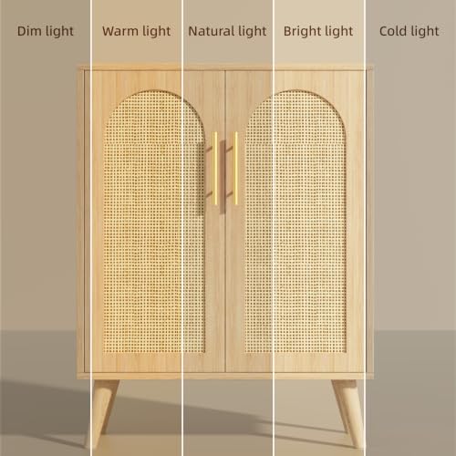 Keehusux Rattan Storage Cabinet with 2 Doors & Adjustable Shelf,