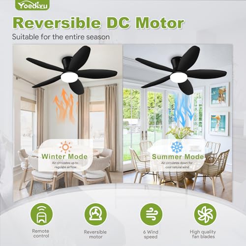 Yoedivu 42 Inch Black Flush Mount Ceiling Fan with Lights & Remote - 6-Speed, Dimmable, Timer, Noiseless