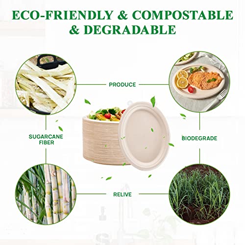 Vplus 12-Inch Compostable Oval Paper Plates - 120 Pack, Nature Variation