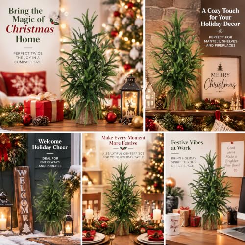 2ft Premium Artificial Norfolk Pine Tree with Realistic Wood Pot - Holiday & Indoor Decor