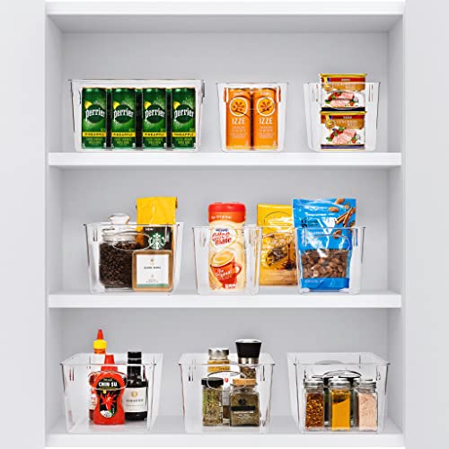 Large Clear Plastic Fridge Organizers & Storage Bins - 8 Pack